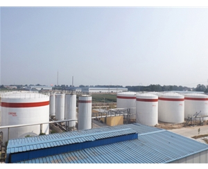 企業(yè)風貌 (4)