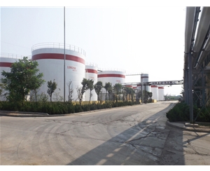 企業(yè)風貌 (11)