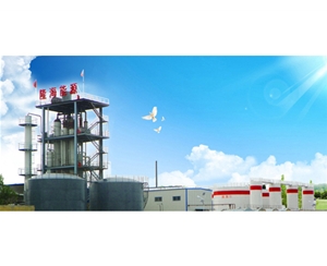 企業(yè)風貌 (13)