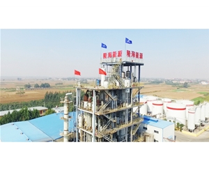 企業(yè)風貌 (15)